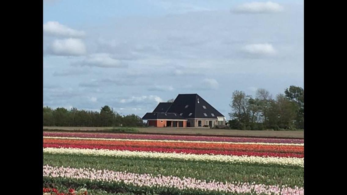 Boerderij De Waard Bed & Breakfast Anna Paulowna Exterior photo